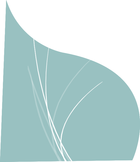 Decorative motif